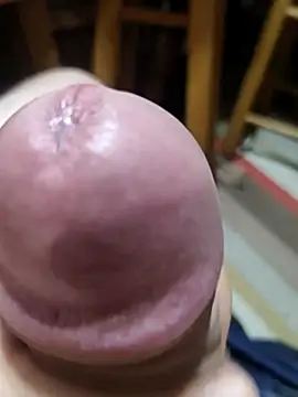 carvalhesco's Webcam Show