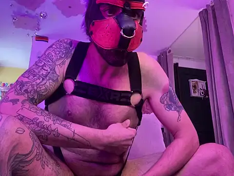 danix_wild_wolf's Webcam Show
