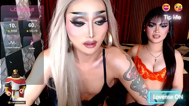 IndestructibleLily's Webcam Show