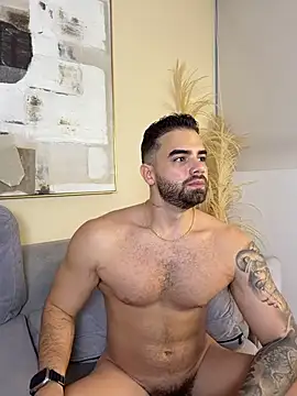 PaulPhoenix_'s Webcam Show