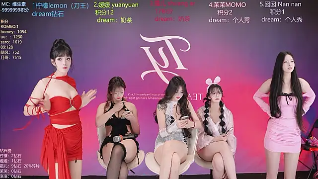 TY-101's Webcam Show