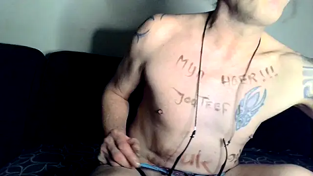 subcrosdresser's Webcam Show
