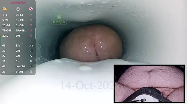 controlmytoys' Webcam Show