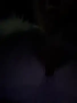 winter11's live stream