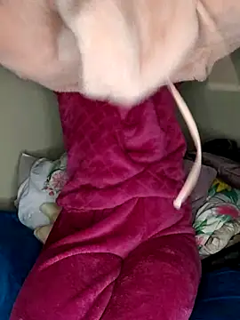 kinkyginger23's Webcam Show