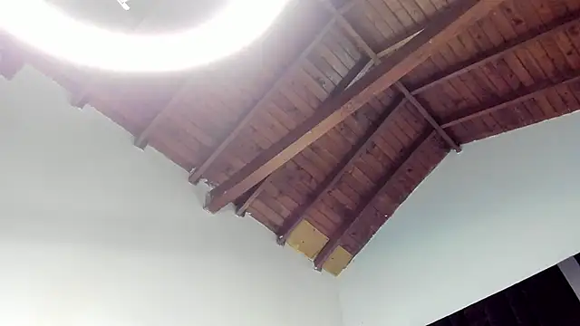 TonyPetrovjs Pertunjukan Webcam