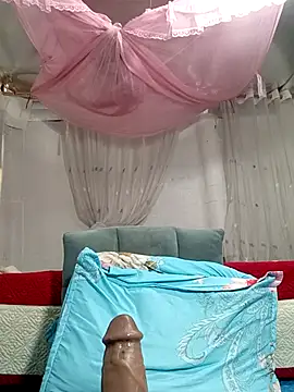 MilkShow 现场聊天室
