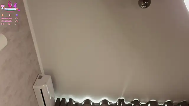 DaynaMacha 现场聊天室
