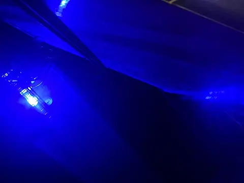 trash4cash 现场性爱视讯表演