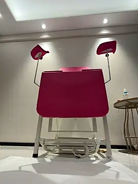 pinnnnnk 现场聊天室