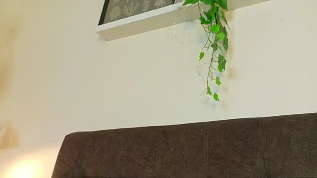 RiriiBrunette__ 现场聊天室