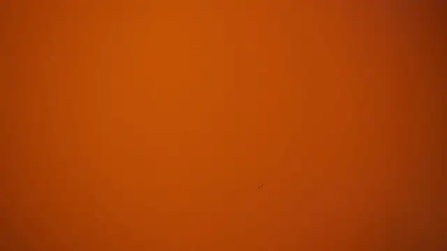 CataleyaSyrene 现场聊天室
