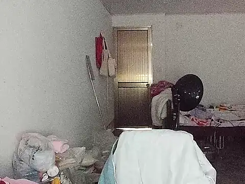 RebelAura 现场聊天室