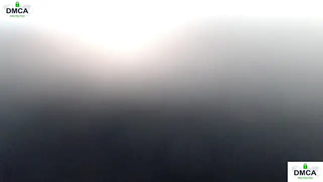 Pion_01 现场聊天室