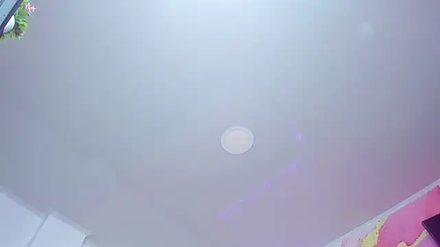 Daisy__rose 现场聊天室