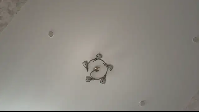 ViolaFaa 现场聊天室
