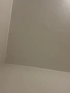 VenClea live cam
