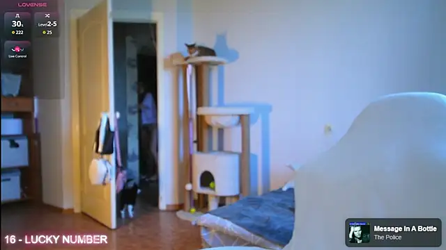 ms_allison__'s Live XXX Chat