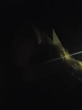 AylinRosee - 🫦❤️BLOWJOB❤️🫦