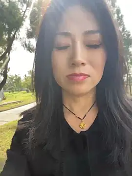 Lipinger - 实现丝袜自由