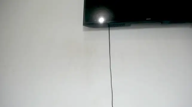 Fox_Loves