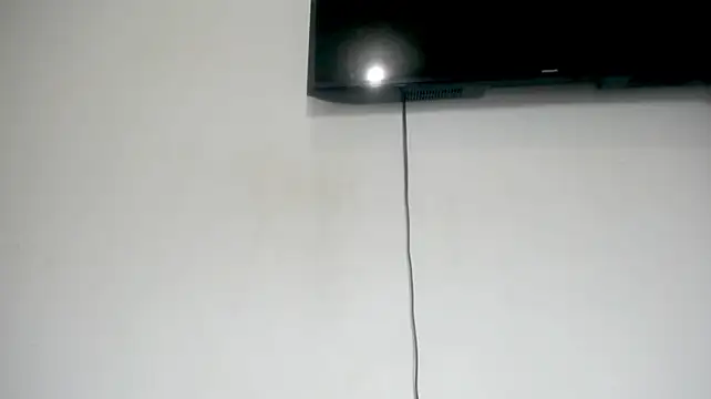 Fox_Loves