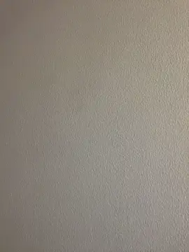 Lara_petit
