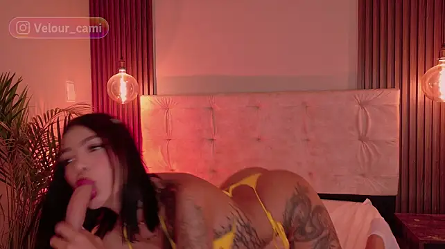 CamilaVelour - TE CHUPO LA POLLA + NAKED