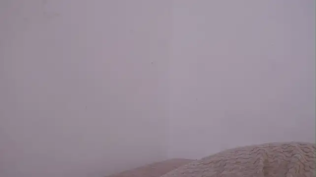 sophie_brunette