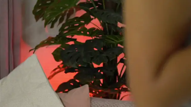 BelleSkye - HOT BLOWJOB 🍆💦