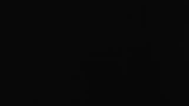 Anisialuna_