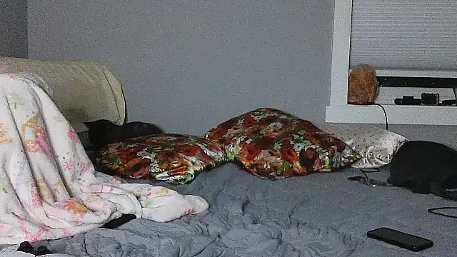 Perfect_us696 - cum