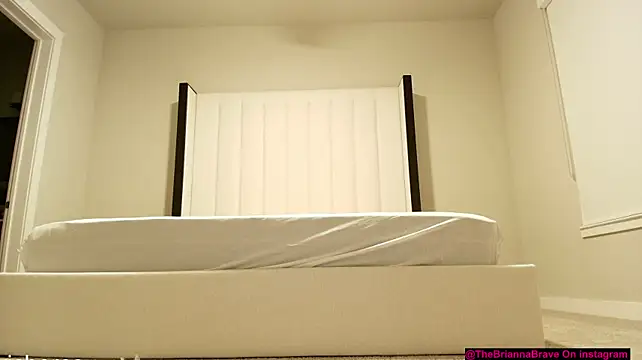 BriannaBrave