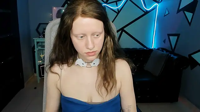 LidaDarknet