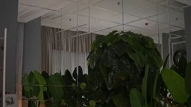 AvaReedX - feel my lips wrapping your cock 💦