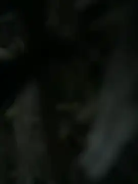 Steffi_Snowbunny - Squirt + Orgasmus+7 Videos😈🐰