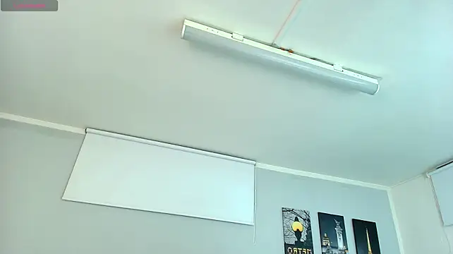 Linda_morgan1 - PLUG ANAL