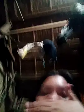 PUSSYcatXXX1 - WHAT YOU PAID IS WHAT YOU GET !!