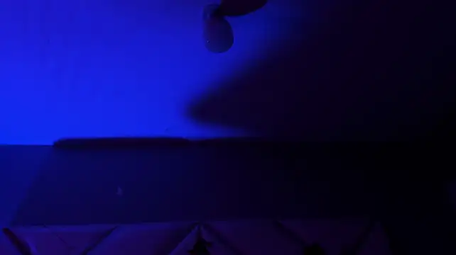Megan11_11
