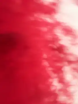 RubyRossel