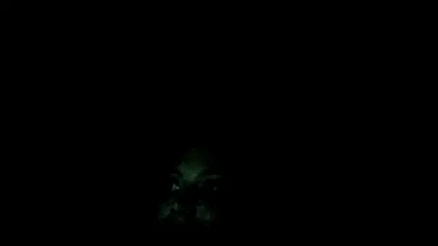 RoxieRoom - 5 min hot special video in DM 😈