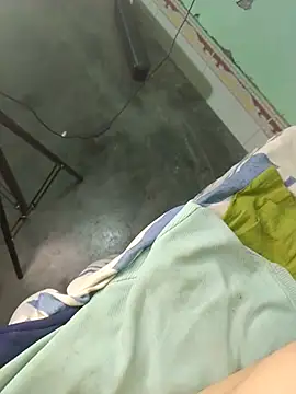Nikkyguddi - Toilet show