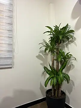 CamilaDuarte_2