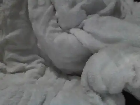 Switbella