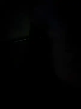 BaileyMFox - Toy show in the car