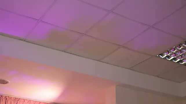 LalaRoze - Naughty Ride