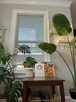 LoveShae_ - last tipper gets xxx nude bundle ;)