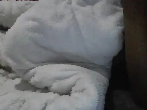 Switbella