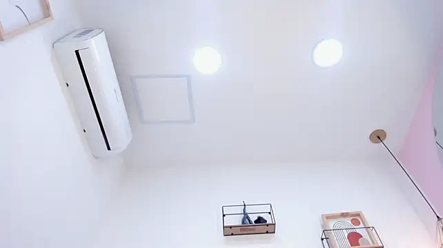 Sam_doll_ - 1 lush PUSSY+ dildo ANAL🍑😈