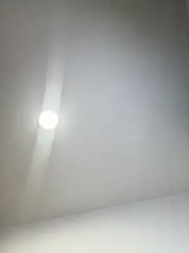 Ivelleee_ - Asshole flash
